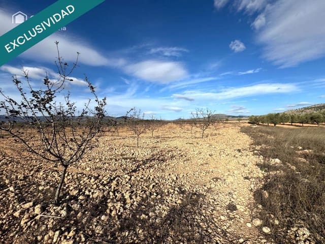 Mark till salu i Monóvar / Monóver - 28 900 € (Ref: 9403263)