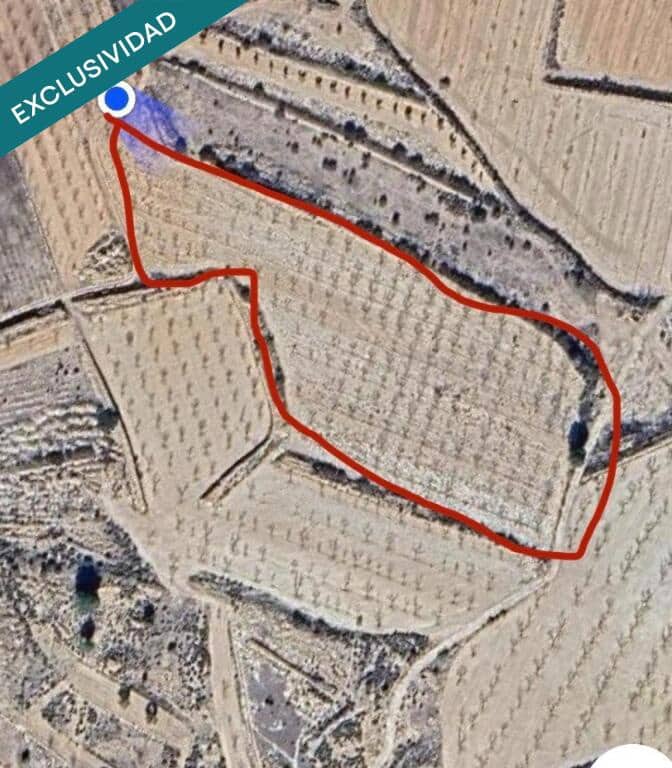 Mark till salu i Monovar / Monover - 15 500 € (Ref: 9403264)