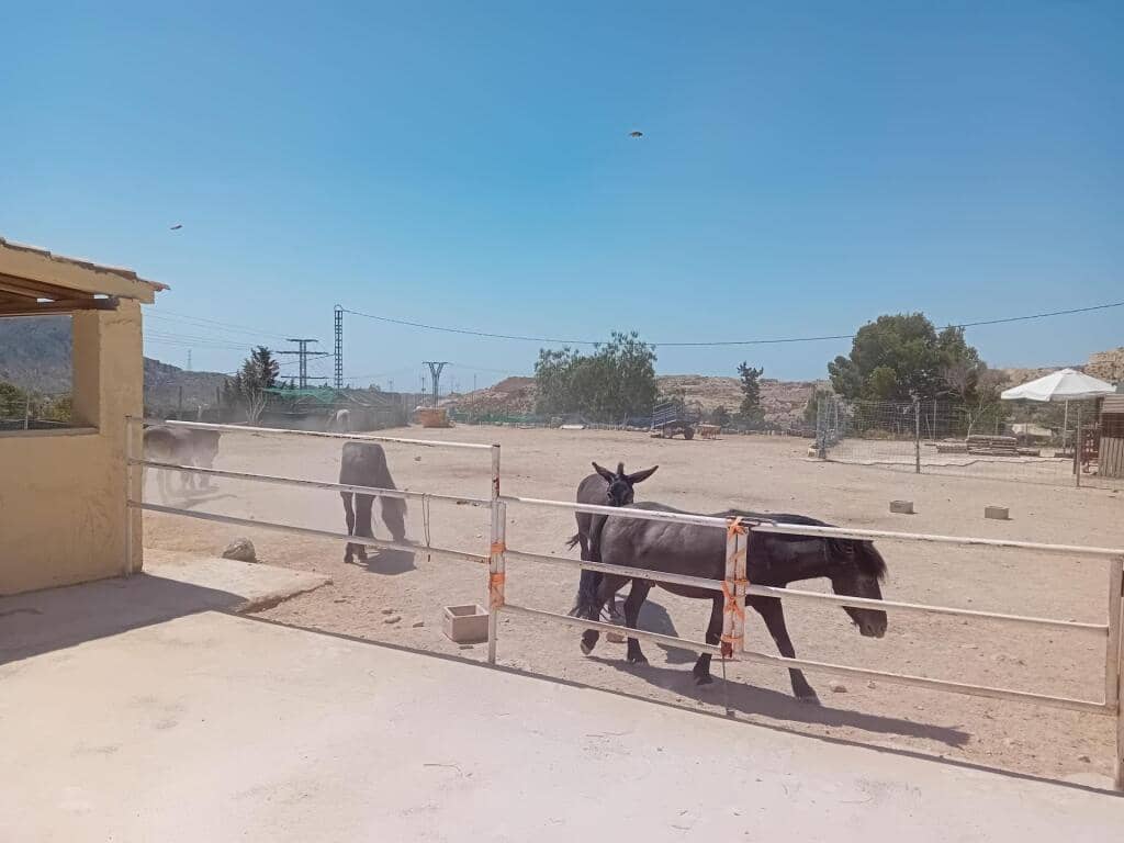 5 bedroom Villa for sale in Jijona / Xixona - € 469,000 (Ref: 9422247)