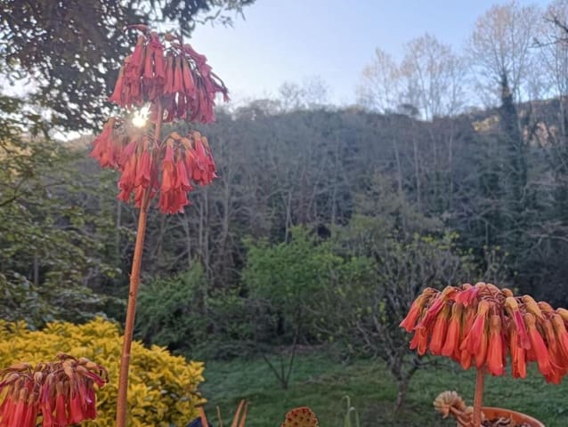 5 bedroom Finca/Country House for sale in Vallgorguina with garage - € 598,000 (Ref: 9427084)