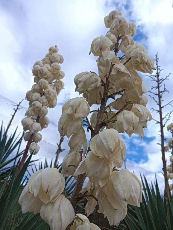 5 camera da letto Finca/Casa di Campagna in vendita in Vallgorguina con garage - 598.000 € (Rif: 9427084)