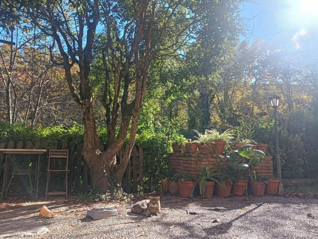 5 camera da letto Finca/Casa di Campagna in vendita in Vallgorguina con garage - 598.000 € (Rif: 9427084)