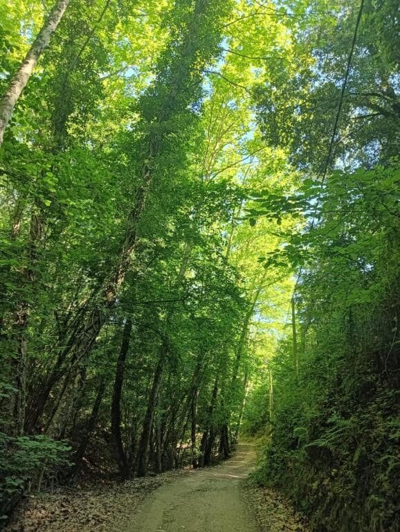 5 camera da letto Finca/Casa di Campagna in vendita in Vallgorguina con garage - 598.000 € (Rif: 9427084)