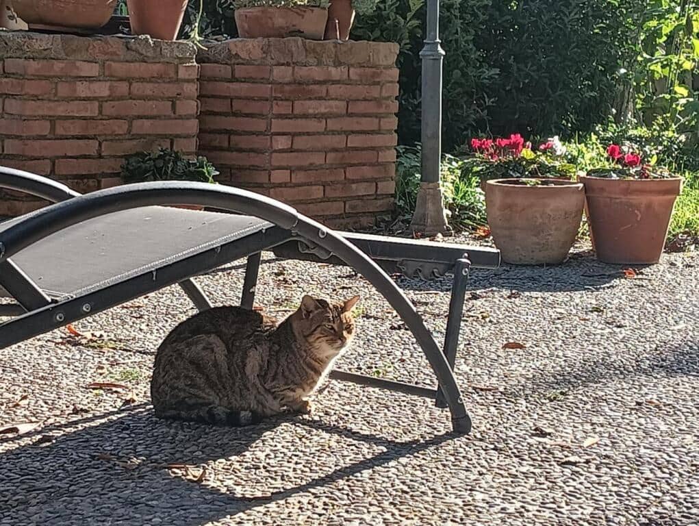 5 camera da letto Finca/Casa di Campagna in vendita in Vallgorguina con garage - 598.000 € (Rif: 9427084)