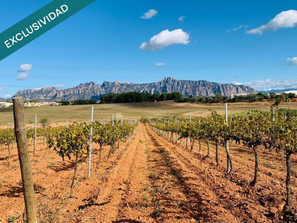 Building Plot for sale in Piera - € 50,000 (Ref: 9427092)