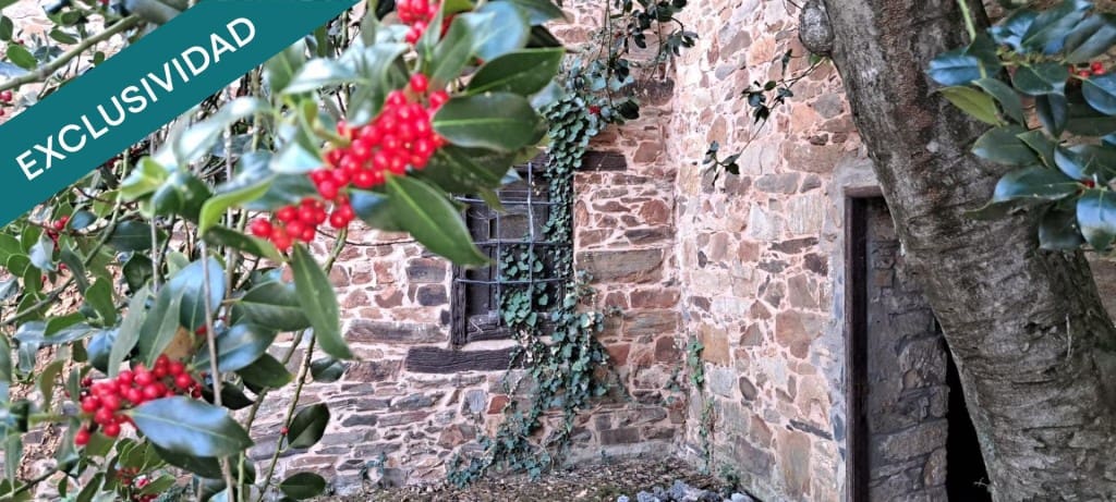 6 bedroom Finca/Country House for sale in Arganza - € 187,000 (Ref: 9431316)