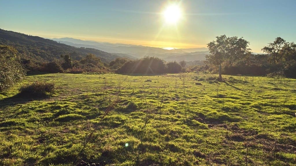 Byggegrund til salg i A Lama - € 14.355 (Ref: 9443179)