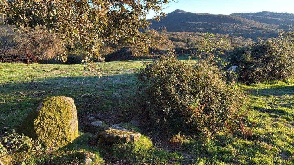 Byggegrund til salg i A Lama - € 24.975 (Ref: 9443180)