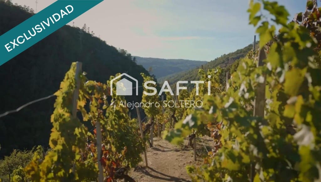 Grunde uden byggetilladelser til salg i Panton - € 45.000 (Ref: 9446216)