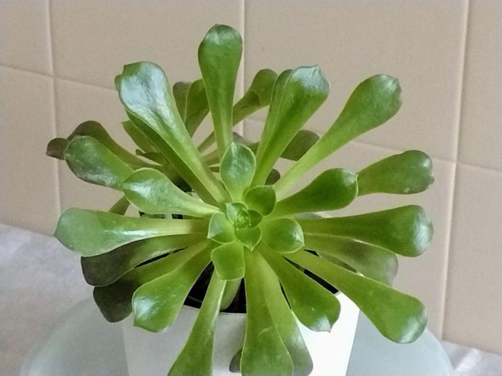 3 camera da letto Appartamento in vendita in Ames con garage - 175.000 € (Rif: 9461977)