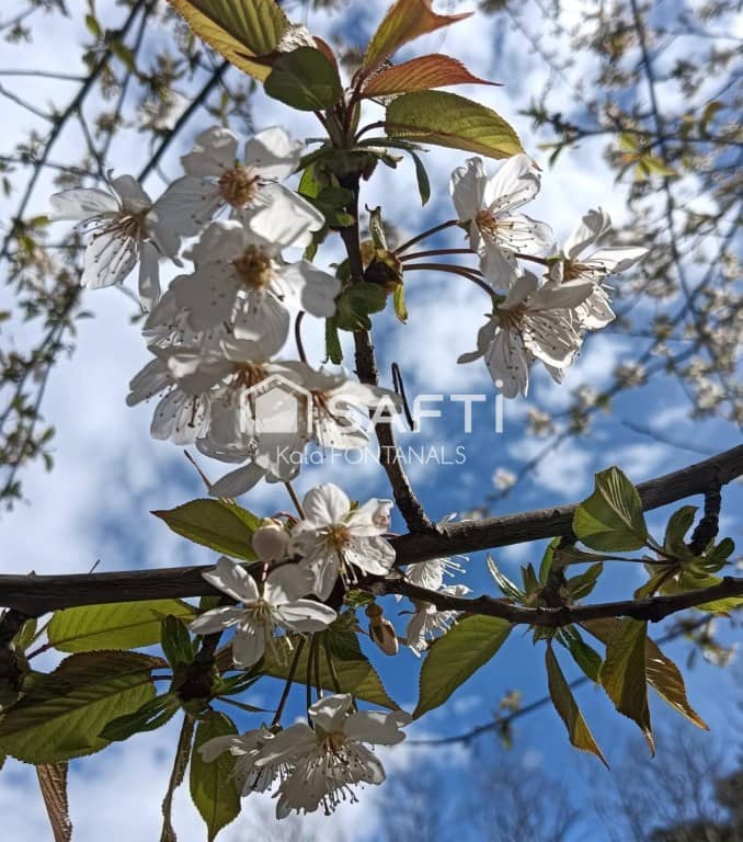 5 chambre Finca/Maison de Campagne à vendre à Vallgorguina avec garage - 598 000 € (Ref: 9461982)