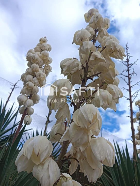 5 chambre Finca/Maison de Campagne à vendre à Vallgorguina avec garage - 598 000 € (Ref: 9461982)
