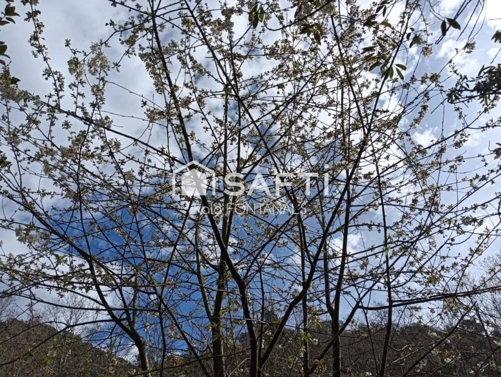 5 chambre Finca/Maison de Campagne à vendre à Vallgorguina avec garage - 598 000 € (Ref: 9461982)