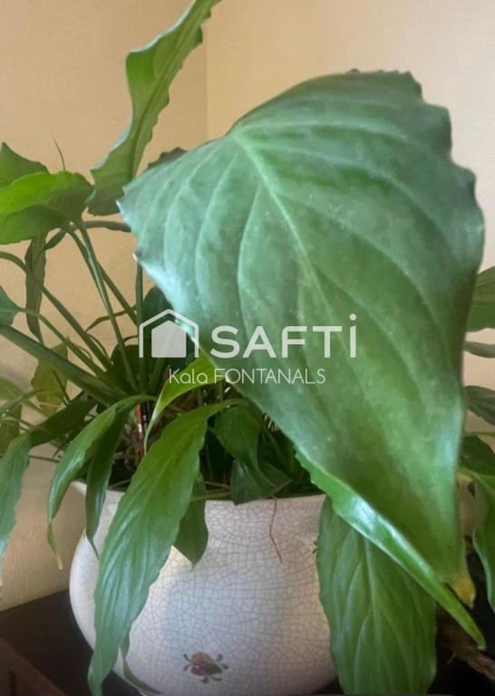 3 makuuhuone Kattohuoneisto myytävänä paikassa Pontevedra kaupunki mukana 
autotalli - 439 000 € (Ref: 9461983)