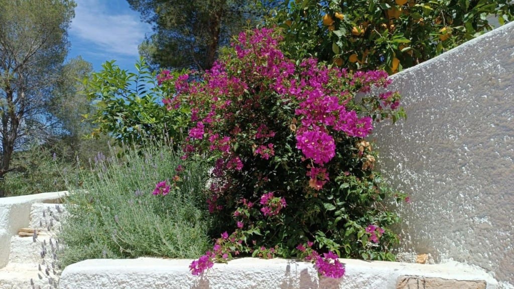 4 Zimmer Villa zu verkaufen in Gandia - 379.000 € (Ref: 9461986)