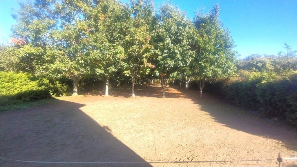 7 soveværelse Villa til salg i Teo - € 330.000 (Ref: 9481115)