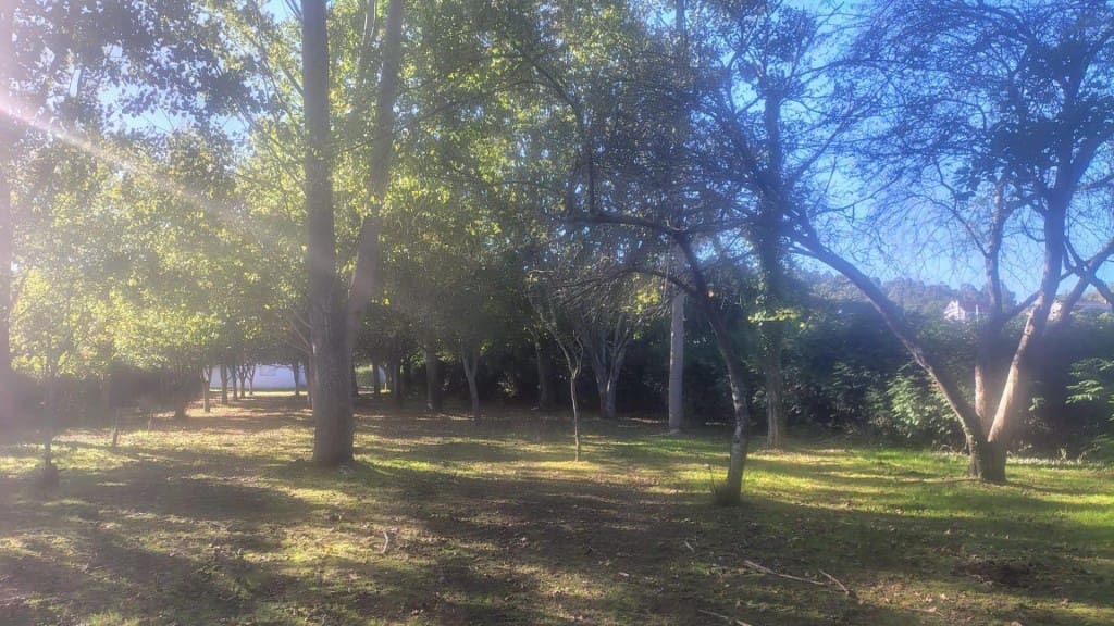 7 soveværelse Villa til salg i Teo - € 330.000 (Ref: 9481115)