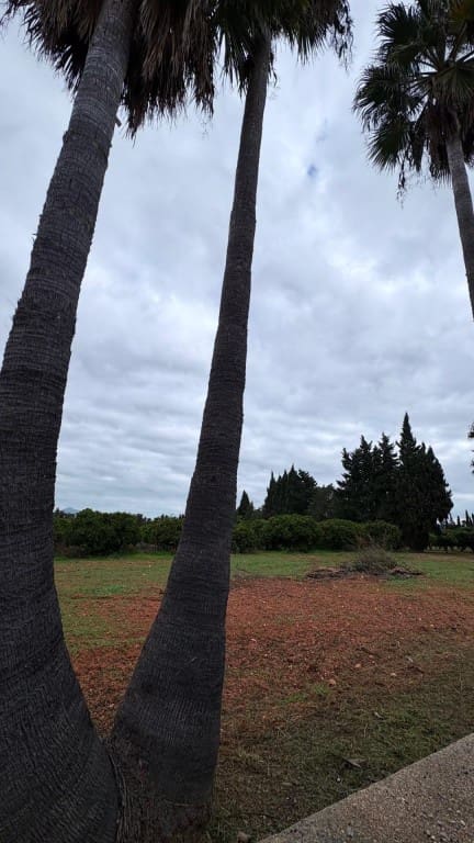 5 soveværelse Finca/Landehus til leje i Muro med swimmingpool garage - € 3.500 (Ref: 9481956)