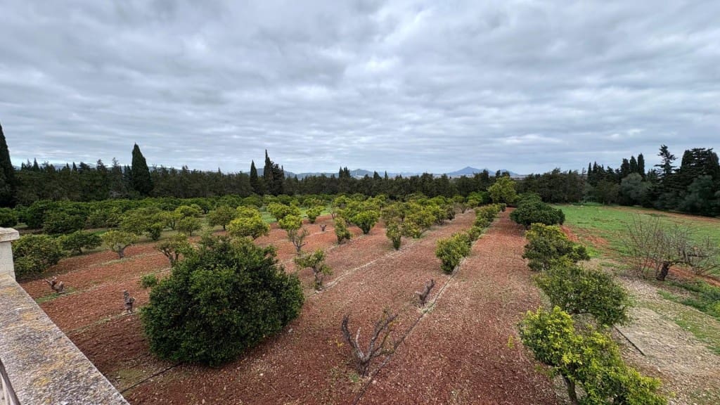 5 soveværelse Finca/Landehus til leje i Muro med swimmingpool garage - € 3.500 (Ref: 9481956)