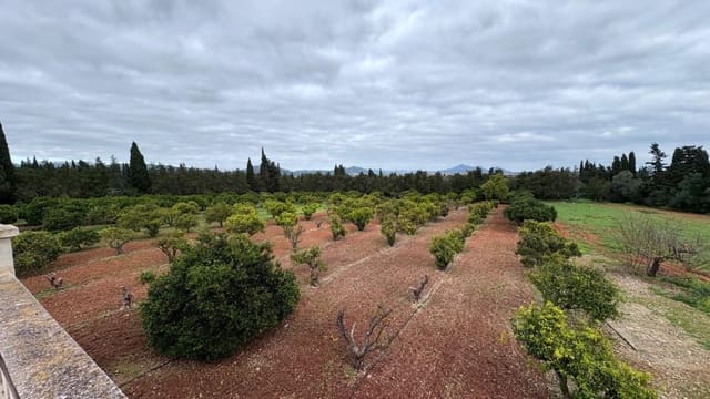 5 soveværelse Finca/Landehus til leje i Muro med swimmingpool garage - € 3.500 (Ref: 9481956)
