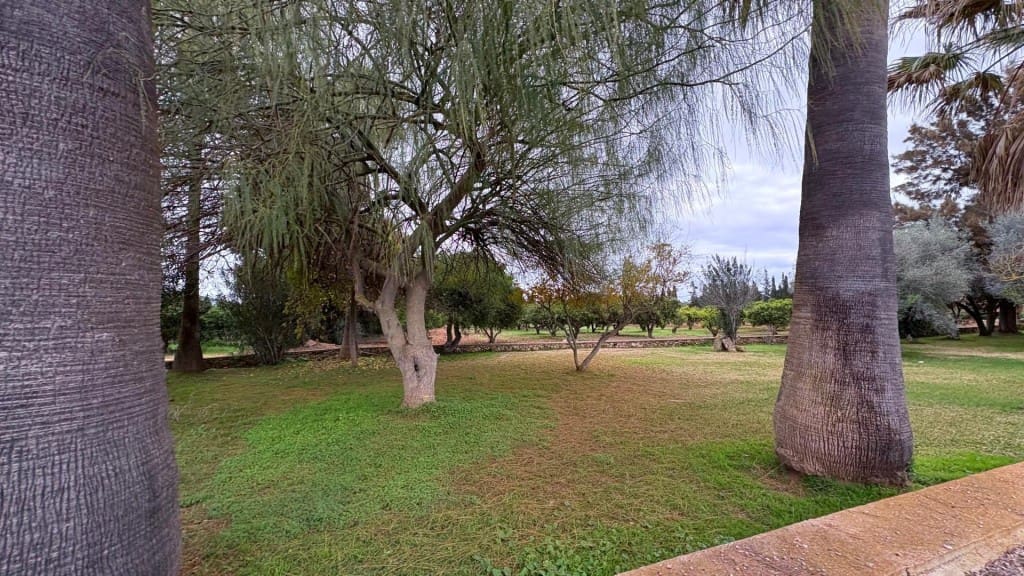 5 soveværelse Finca/Landehus til leje i Muro med swimmingpool garage - € 3.500 (Ref: 9481956)