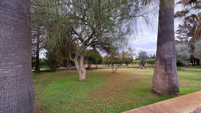 5 soveværelse Finca/Landehus til leje i Muro med swimmingpool garage - € 3.500 (Ref: 9481956)