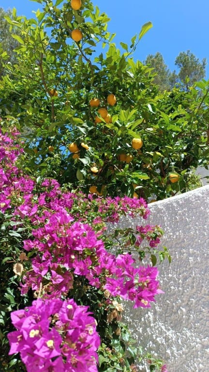 4 bedroom Villa for sale in Gandia - € 379,000 (Ref: 9483457)