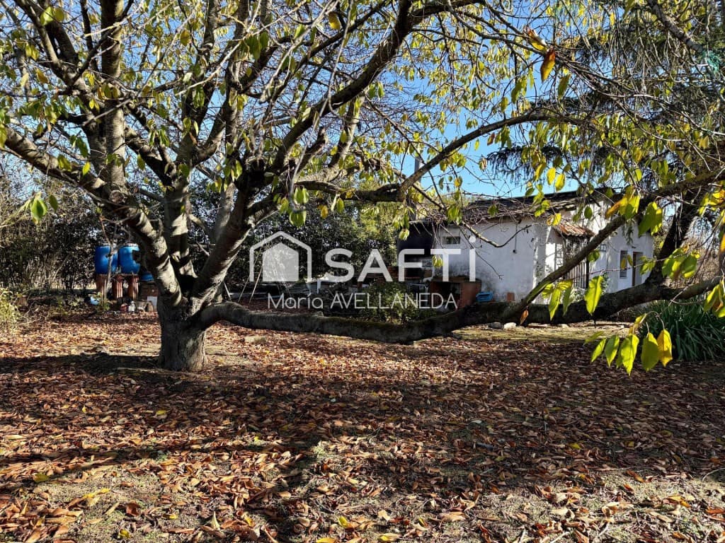 Undeveloped Land for sale in Valencia de Don Juan - € 35,000 (Ref: 9488262)