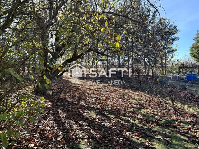 Undeveloped Land for sale in Valencia de Don Juan - € 35,000 (Ref: 9488262)