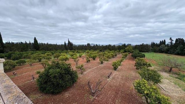 5 sovrum Finca/Hus på landet att hyra i Muro - 3 000 € (Ref: 9497244)