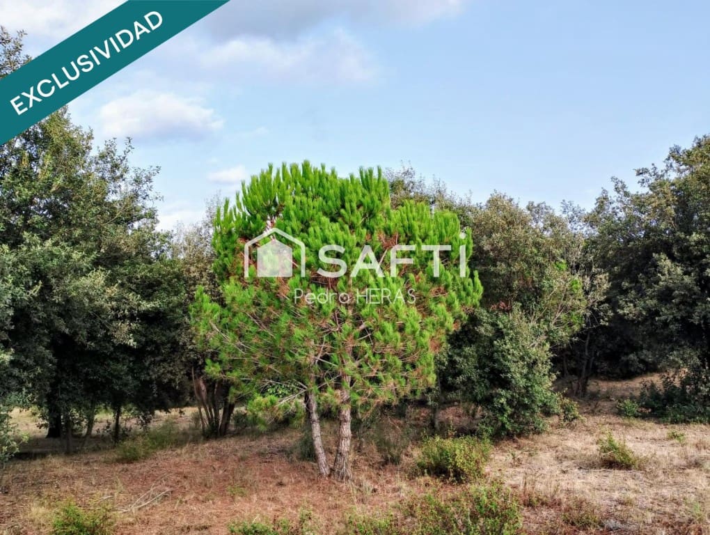 Undeveloped Land for sale in Sant Pol de Mar - € 90,000 (Ref: 9502139)