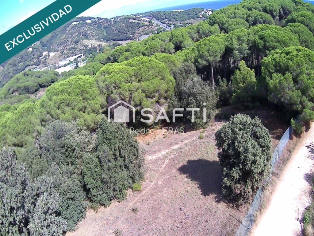 Undeveloped Land for sale in Sant Pol de Mar - € 90,000 (Ref: 9502139)