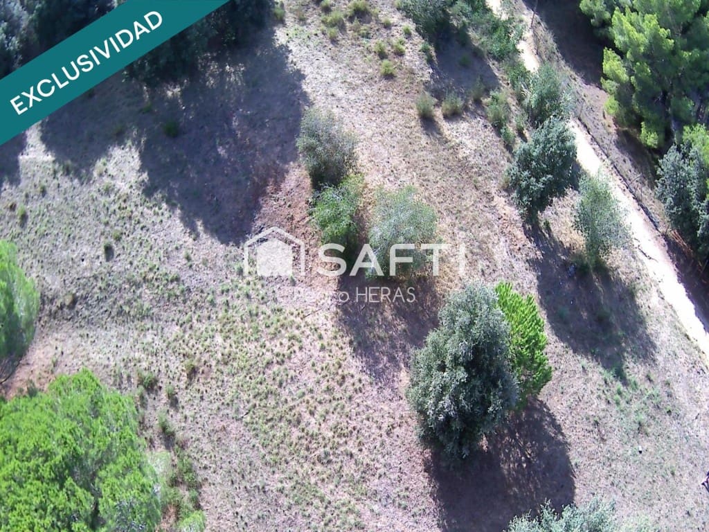 Undeveloped Land for sale in Sant Pol de Mar - € 90,000 (Ref: 9502139)