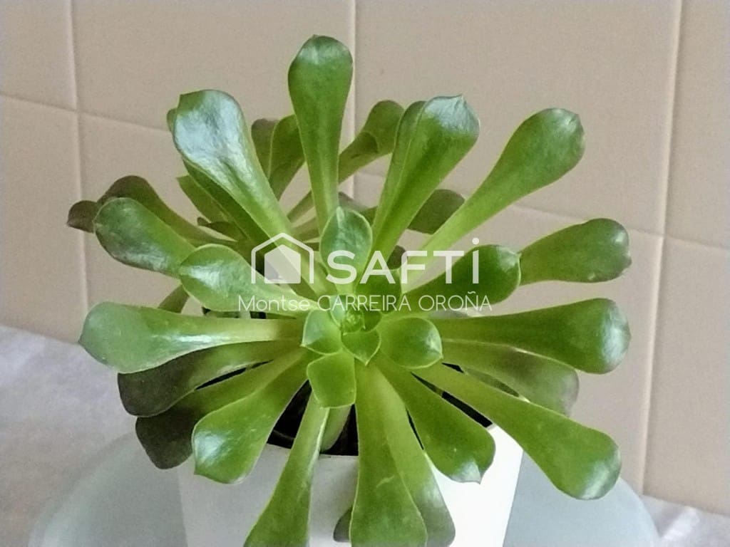 3 soveværelse Lejlighed til salg i Ames med garage - € 155.000 (Ref: 9508726)