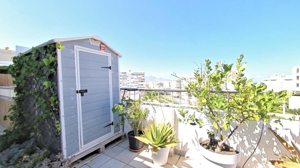 1 soveværelse Penthouse til salg i Alicante by med swimmingpool garage - € 319.000 (Ref: 9513332)