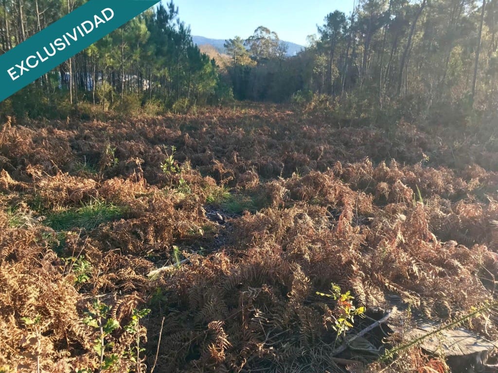 Bouwgrond te koop in Noia - € 50.000 (Ref: 9518768)