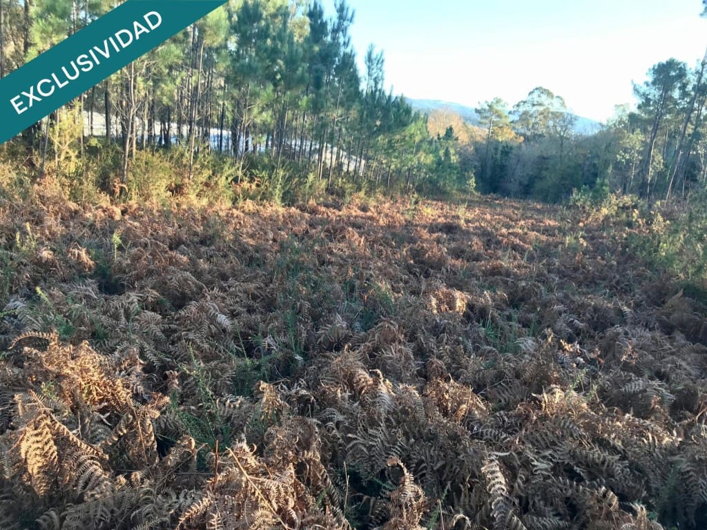 Bouwgrond te koop in Noia - € 50.000 (Ref: 9518768)