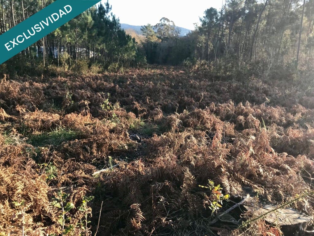 Bouwgrond te koop in Noia - € 50.000 (Ref: 9518768)