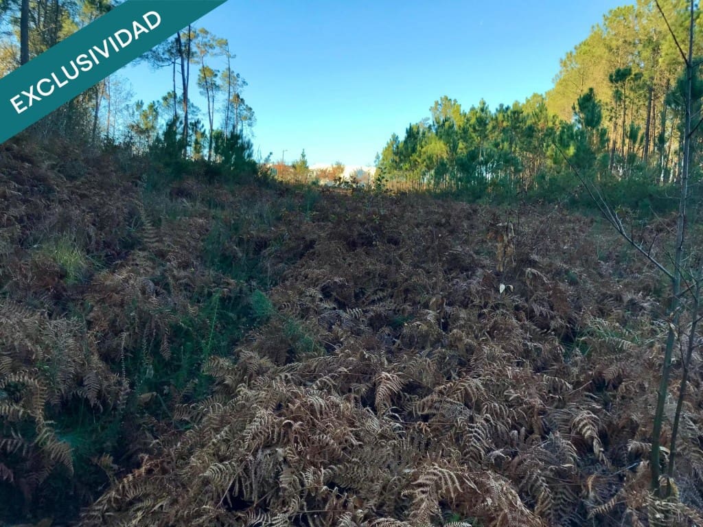 Bouwgrond te koop in Noia - € 50.000 (Ref: 9518768)