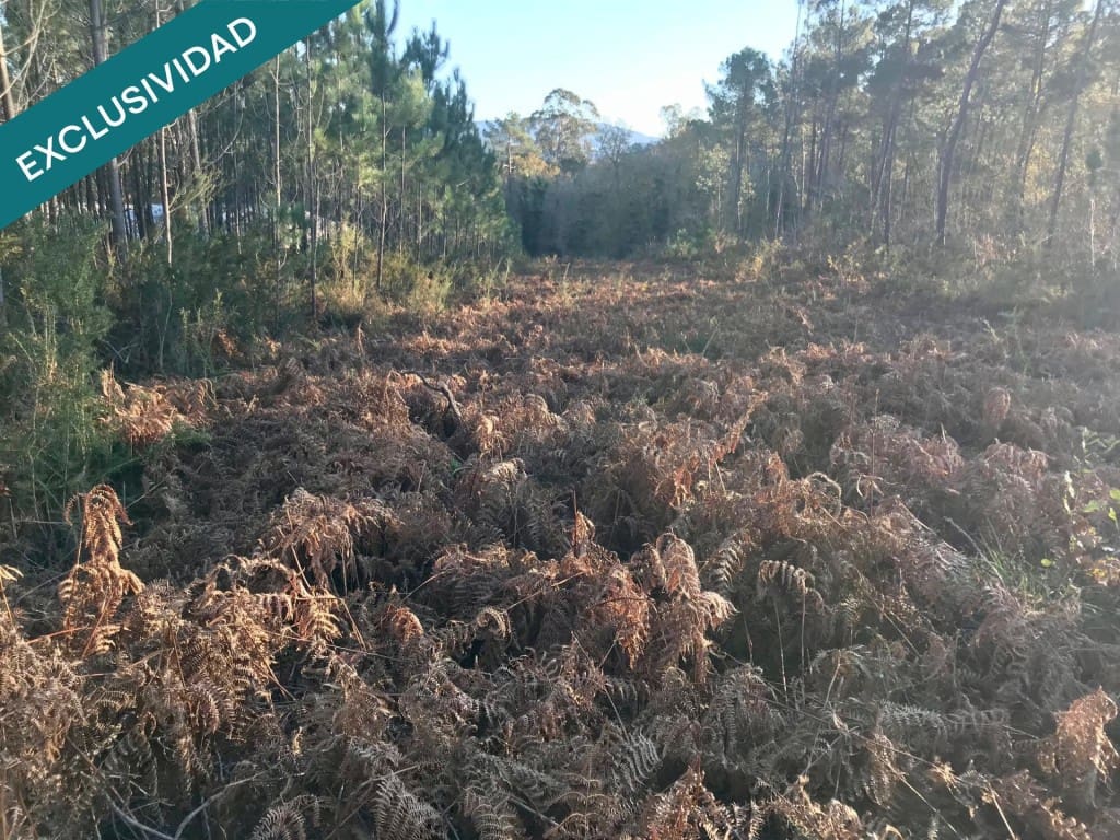 Bouwgrond te koop in Noia - € 50.000 (Ref: 9518768)