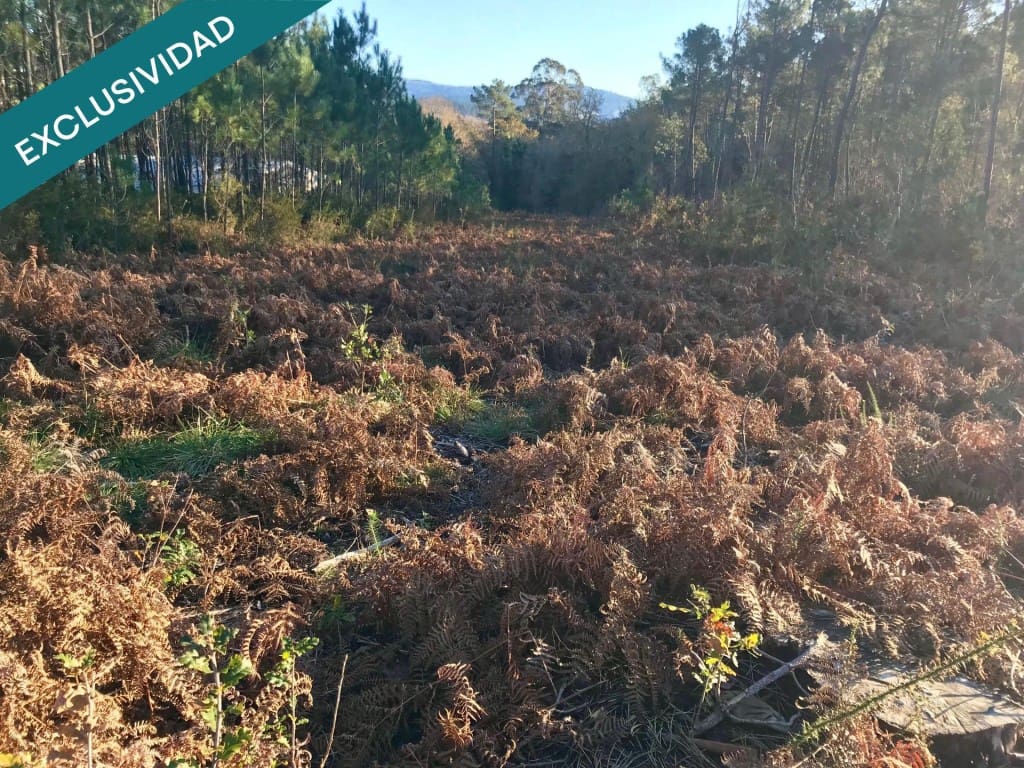 Bouwgrond te koop in Noia - € 50.000 (Ref: 9518768)