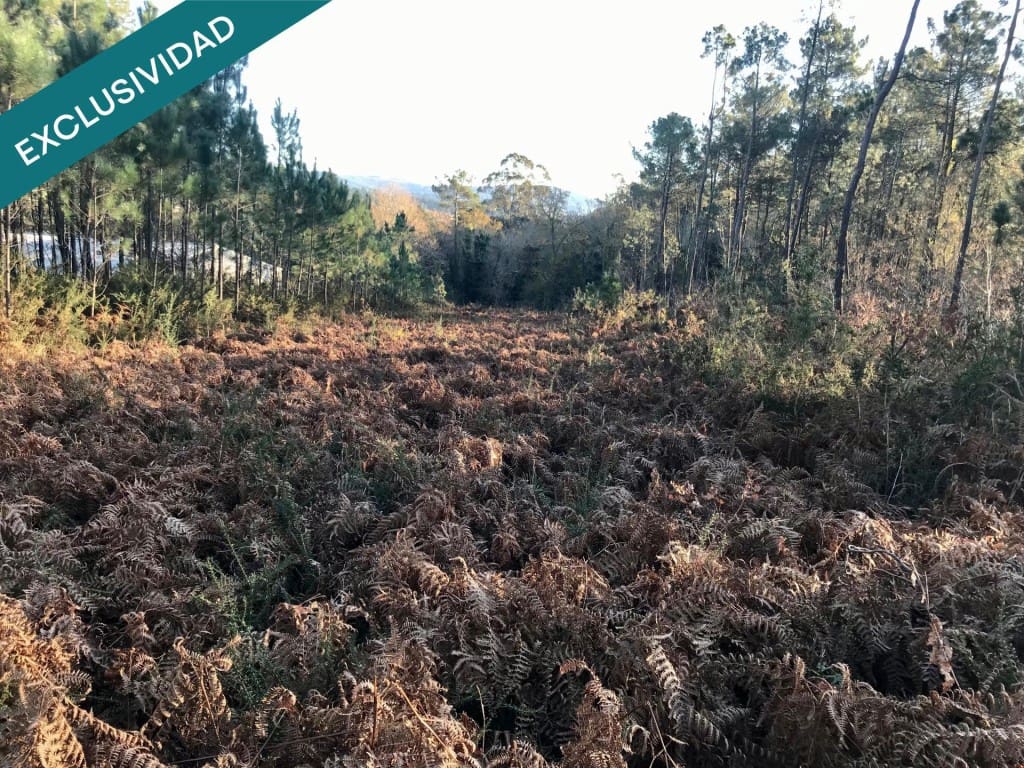 Bouwgrond te koop in Noia - € 50.000 (Ref: 9518768)