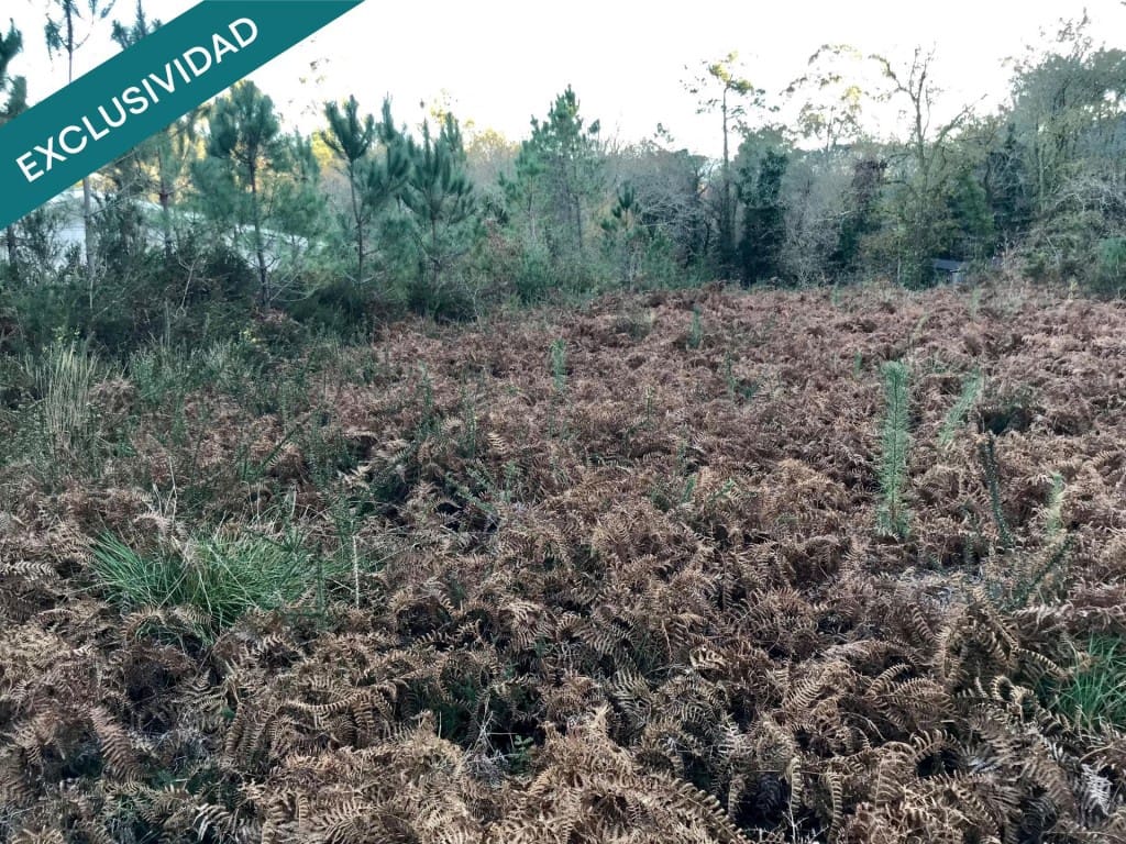 Bouwgrond te koop in Noia - € 50.000 (Ref: 9518768)