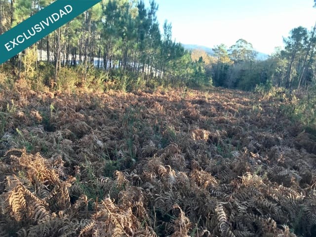 Bouwgrond te koop in Noia - € 50.000 (Ref: 9518768)