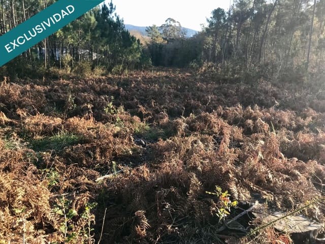 Bouwgrond te koop in Noia - € 50.000 (Ref: 9518768)