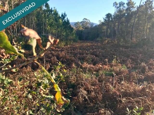 Bouwgrond te koop in Noia - € 50.000 (Ref: 9518768)