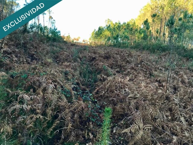 Bouwgrond te koop in Noia - € 50.000 (Ref: 9518768)