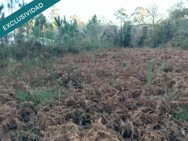 Bouwgrond te koop in Noia - € 50.000 (Ref: 9518768)