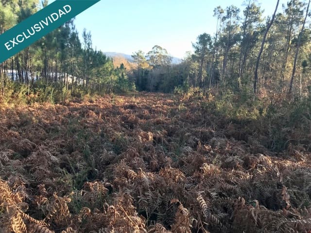 Bouwgrond te koop in Noia - € 50.000 (Ref: 9518768)