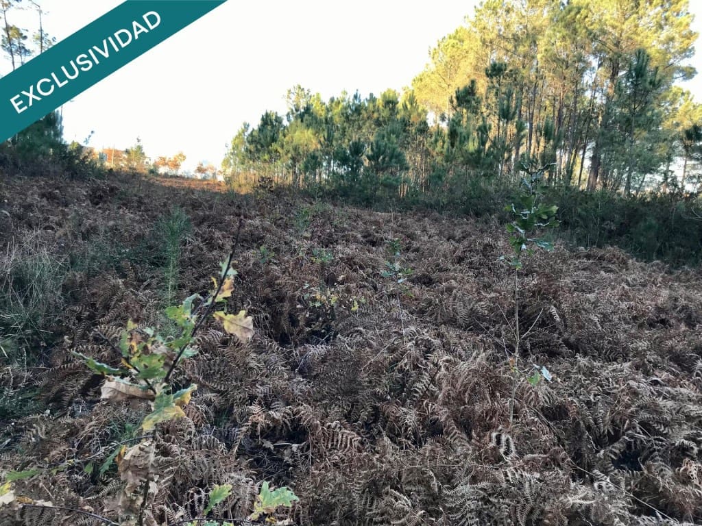 Bouwgrond te koop in Noia - € 50.000 (Ref: 9518768)